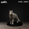 Ashen Armies - Sanctified Legion - Combat Dogs (4 Models)